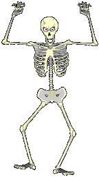 skeleton